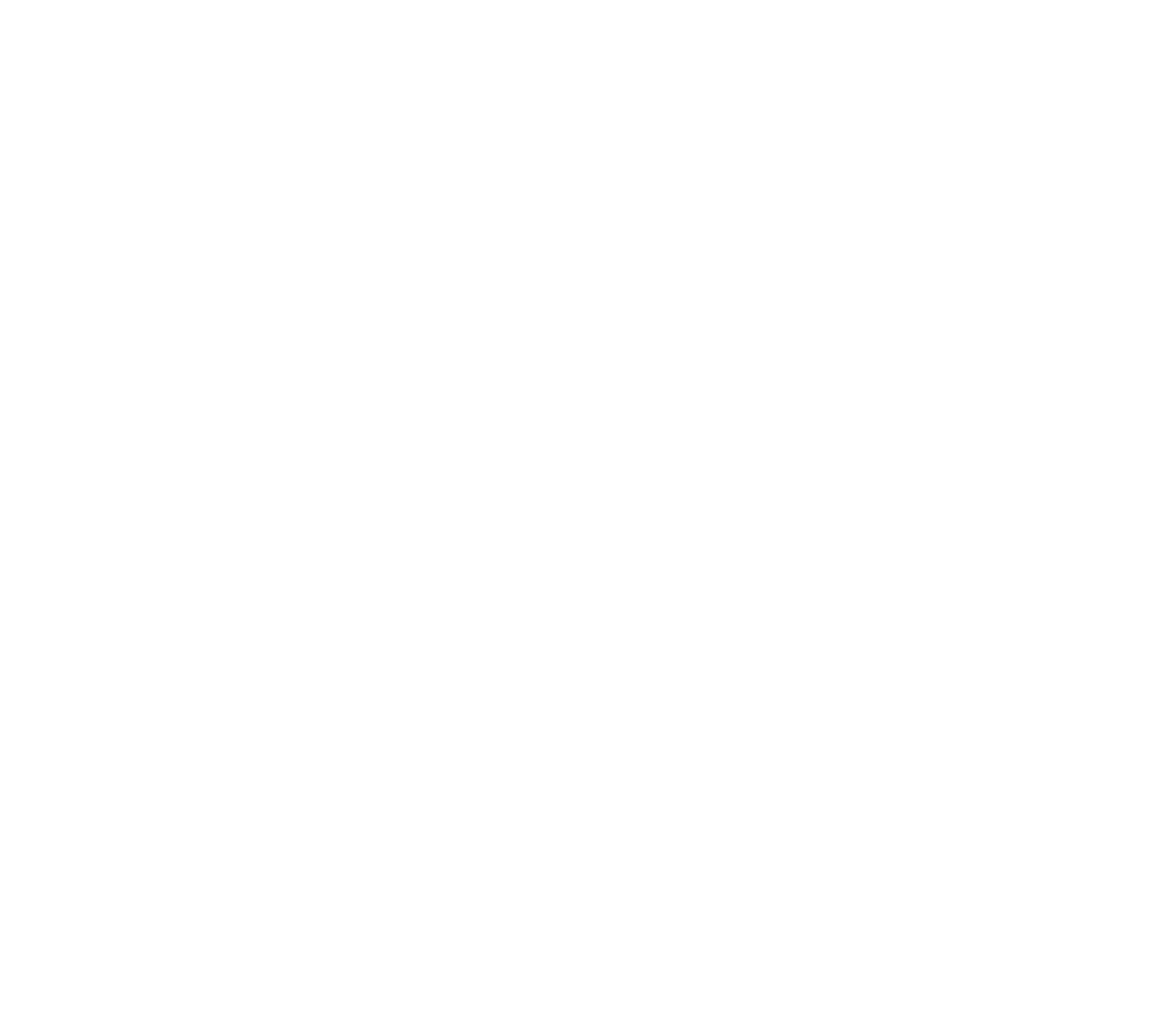 פיקס סמארט — FixSmarts